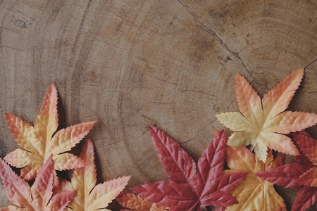 Autumn background . Leaves on wooden table.の写真素材