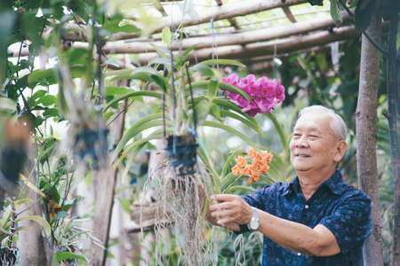 Happy asian senior man in his garden. Happy retirement age.の写真素材