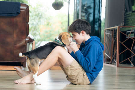 Child Playing With His Pet Dog At Home.の写真素材