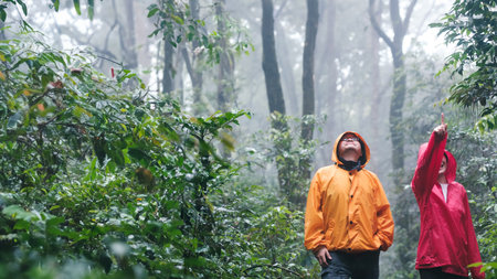 Father and daughter hiking exploring a lush forest