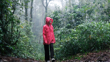 Smiling woman hiking through lush, misty forest on a rainy dayの写真素材