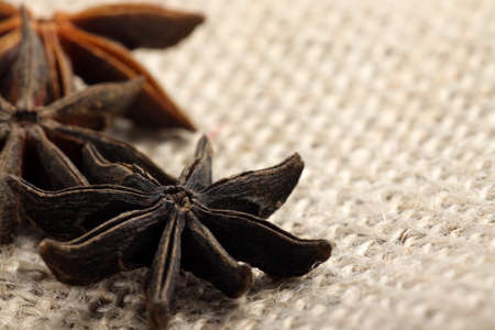 Close up shoot of star annise, one kind of spice that usually used fo cooking and traditional medicineの写真素材