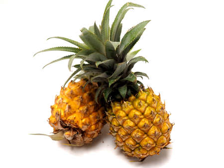 Picure of Pineapple (Ananas comosus), a fruit that usually grow at tropical area. This fruit has many vitamins that good for our body. Isolated on white.の写真素材