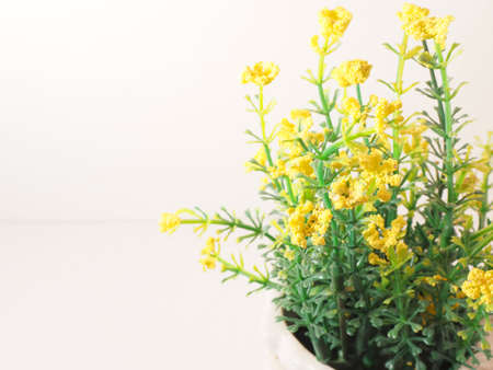 Picture of artificial plastic flower on a ceramic vase. Shoot on white isolated backgroundの写真素材