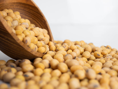 Close up shoot of soybeans on a wooden cup. Shoot on a white isolated backgroundの写真素材