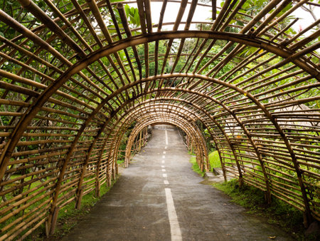 Beautifull tunnel that made from bamboesの写真素材