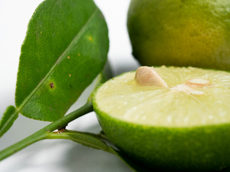 Picture of green citrus with leafs on a white isolated backgroundの写真素材