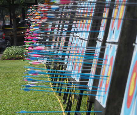 Archery target with arrows in the park, closeup of photoの写真素材