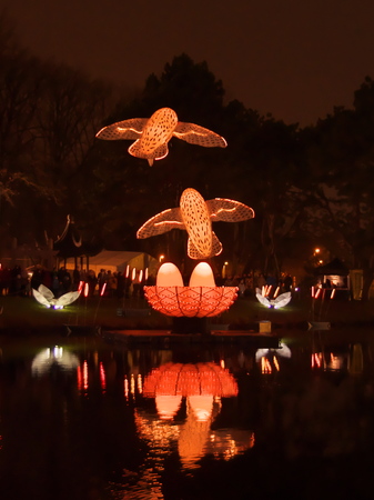 Riga, Latvia - November 17, 2018. Multi-colored audiovisual performance PIKOOKS - a pair of kites resembling snowy owls, soar the sky in a wedding dance during Light Festival Staro Riga 2018のeditorial素材