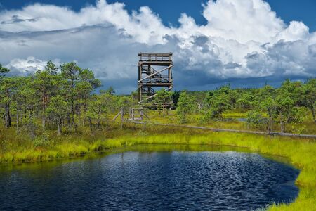 Landscape of wooden pathway and observation tower in swamp surrounded by beautiful lake with reflections of blue sky and stormy clouds and green flora in the Great Kemeri Bog on sunny summer day.の写真素材