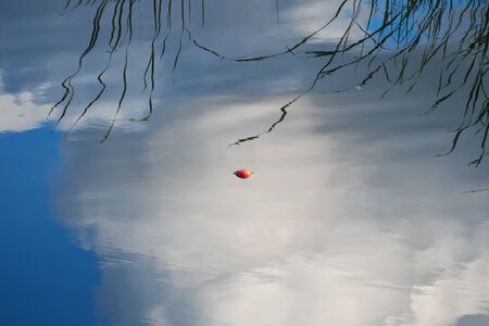Red apple floating in the still water in the beautiful reflection of blue sky with white clouds...