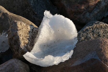 The stones at seaside are breaking open from a sea ice rind and melting in the spring sun like...