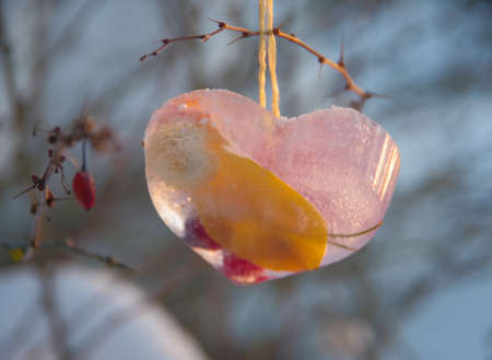 Closeup of beautiful handmade decoration made from ice, red cranberries and other yellow leaf hanging on the branch outdoors on winter dayの写真素材