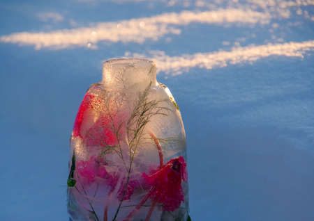 Closeup of pink cyclamen flower and green leaf frozen in the bottle of  ice standing in the snow and highlighted by evening sunの写真素材