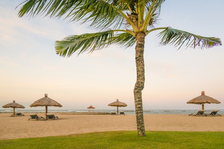 Coconut Palm trees on white sandy beach, Vacation holidays background wallpaper. View of nice tropical beachの写真素材