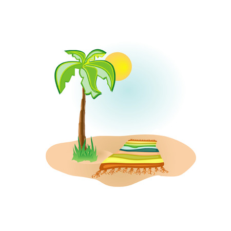 palm beachのイラスト素材