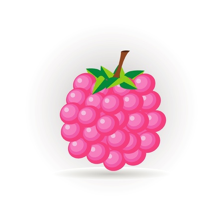 raspberry  iconのイラスト素材