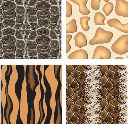 Animal printsのイラスト素材