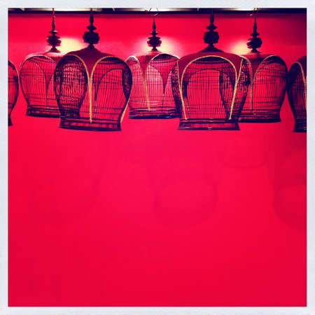 Birdcage red backgroundの素材