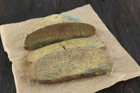 Green Mildew on a Stale Rotten Bread. Surface of Moldy Bread.