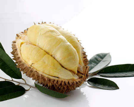 Seasonal Durian King of Fruits Montong Thailand, Ripe Durian. Tasty Durian that has been Peeled. Isolated on Whiteの写真素材
