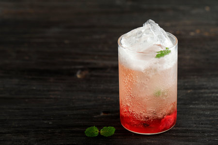 Refreshing Spritzer with Red Syrup, Sparkling Water with Ice and Mint Leafの写真素材