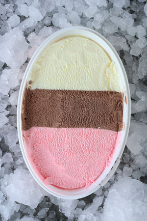 Vanilla, Chocolate, and Strawberry Ice Cream in One Container. One Ice Cube. Neapolitan Ice Cream, Top View.の写真素材