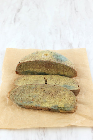 Moldy Fungus on Rotten Bread, Spoiled Bread Sliceの写真素材