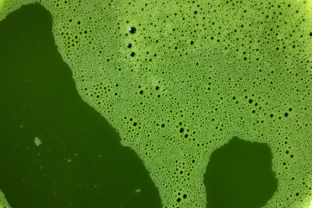 Micro Bubble Matcha after Whisking using Chasen. Surface of Hot Matcha Green Tea, Full Frame of the...