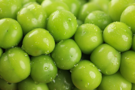 Close Up of Fresh Green Grape Full Frame, Food Background Conceptの写真素材