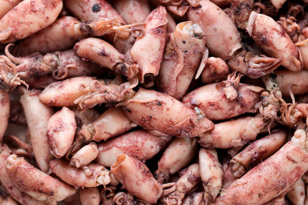 Raw Cumi Asin, Baby Salted Squid, Full Frame Full Backgroundの写真素材