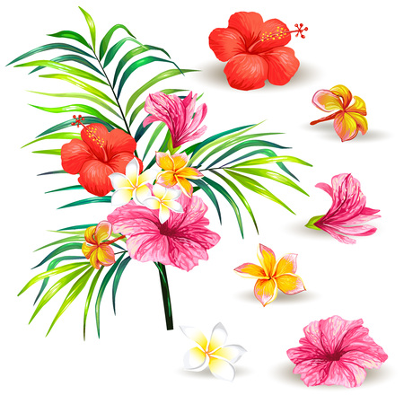 Vector illustration of a realistic style branch of a tropical palm tree with hibiscus flowers isolated on white background. Tropical print, template, design element with flowers and leavesのイラスト素材