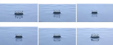Splash and crown on white background. Reflection on the surface of the water.の写真素材