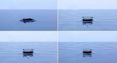 Splash and crown on white background. Reflection on the surface of the water.の写真素材
