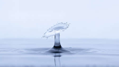 Splash and umbrella on white background. Reflection on the surface of the water.