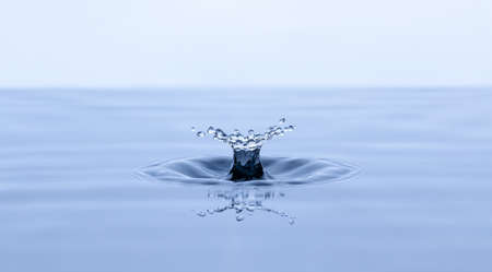Splash and umbrella on white background. Reflection on the surface of the water.