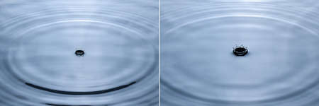 Splash and crown on white background. Reflection on the surface of the water.
