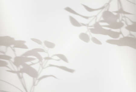 Shadows from plants on a white wall. Pattern from the leaves of flowers, bushes or trees. Beautiful...