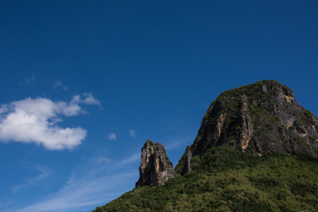 These trees under blue skies.の写真素材