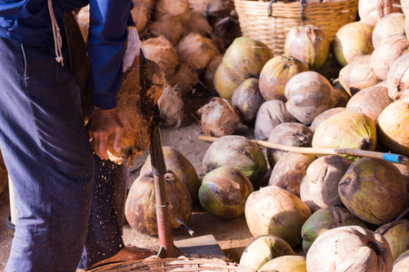 The local worker they are peeled coconuts expertly.の写真素材