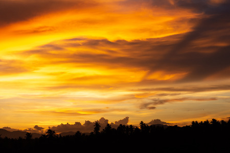 The beautiful sunset sky with the colorful clouds in summer