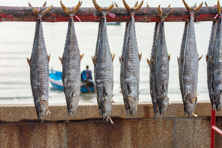 Food preservation, salted fish is fish cured with dry salt and thus preserved for later eating.の写真素材