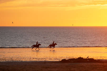 Riding horses at the beach during sunsetの写真素材