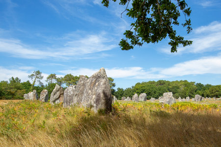 Pre celtic standing granite stones or menhirs in Carnacの写真素材