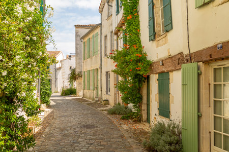A sunny alley in St Martin de Reの写真素材