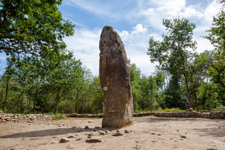 Pre celtic standing granite stones or menhirs in Carnacの写真素材