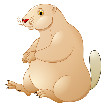 Cartoon marmot funny and cute, Pets childrenのイラスト素材