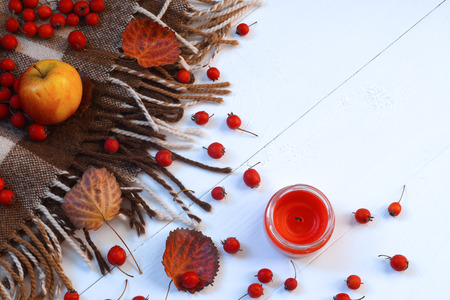Autumn top view composition with apple, extinct candle and rowan for text spaceの写真素材