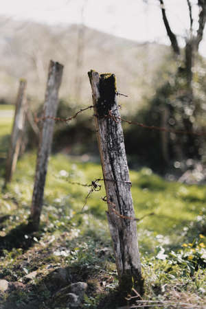 Vertical photo of wooden pickets with a wire encircling a field. Rural conceptの写真素材