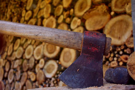 Ax nailed to poplar trunk with wedges on the side and accumulated firewood in the background.
